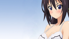 Infinite stratos shinonono houki