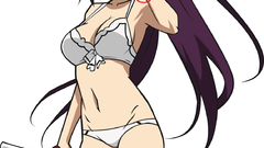 Infinite stratos shinonono houki