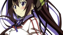 Infinite stratos shinonono houki