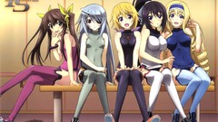 Infinite stratos shinonono houki Alcott Cecilia Dunois 