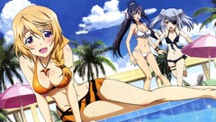 Infinite stratos shinonono houki Dunois Charlotte Bodewig Laura