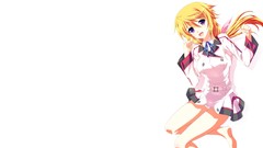 Infinite stratos soft shading Dunois Charlotte