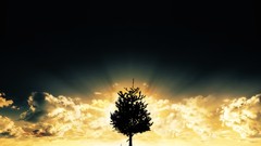 Infinity fantasy art