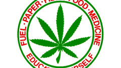 Info marijuana medical