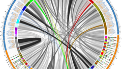 Infographics circos circular visualization