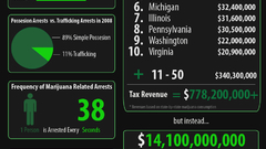 Infographics drugs marijuana