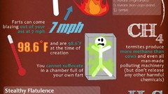 Infographics facts fart