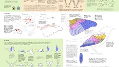 Information drawings