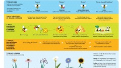 Information Internet online infographics