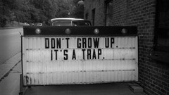 Information signs funny message brick wall growing grayscale