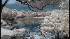 Infrared photography
