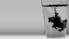 Ink horse Animals black