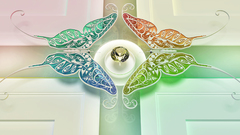 Insect butterfly cgi symmetry