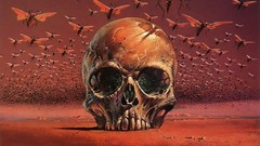 Insects horror skulls fantasy art deserts