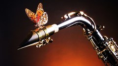 Insects instruments saxophones Butterflies
