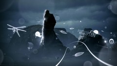 Insects leaves rocks Typography