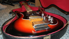 Instruments electric guitars