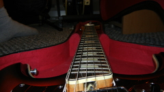 Instruments guitars electric guitars