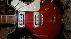 Instruments guitars electric guitars