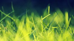 Interfacelift Galaxy Nexus