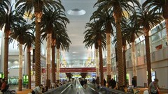 Interior dubai palm trees airports