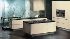 Interior kitchen interior design