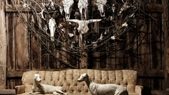 Interior skulls couch status