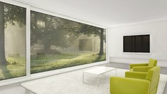 Interior TV window panes
