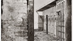 Interior view showing cells