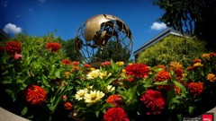 International western