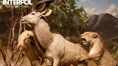 Interpol if possible from