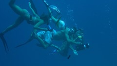 Into the Blue Celebrity Jessica Alba