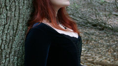 Into The forest stock