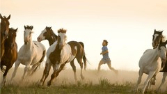 Into the Wild Emile Hirsch