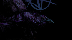 Intronew Yes we should