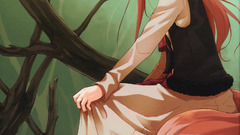 Inumimi anime girls hair