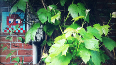 INVADER artist Space invaders