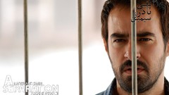 Iran A Separation Shahab Hosseini