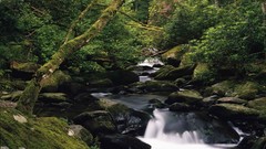 Ireland national park rivers