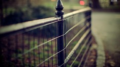 Iron fences