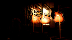 Is cortshop neither Fender