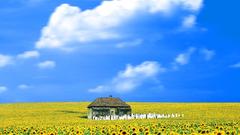 Is illuminated 2005 everything