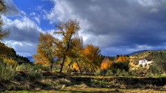 Islam mosques HDR Photography Muslim islamic al aqsa
