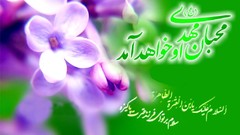 Islam religion iran Imam karbala Imam Hosein