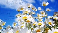 Islam religion iran Imam karbala Imam Hosein