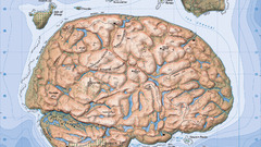 Islands brain Maps