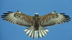 Islands Ecuador Galapagos