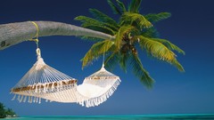 Islands hammock empty Maldives
