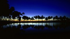 Islands Hawaii palm trees silhouettes