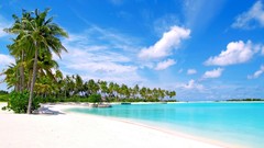 Islands Maldives palm trees Olhuveli Beach